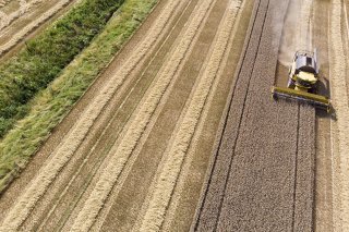 Les moissons de céréales ont été mauvaises cette année en raison des fréquentes pluies (archives). KEYSTONE/SALVATORE DI NOLFI